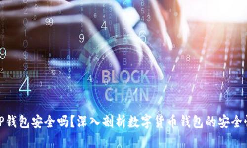 TP钱包安全吗？深入剖析数字货币钱包的安全性