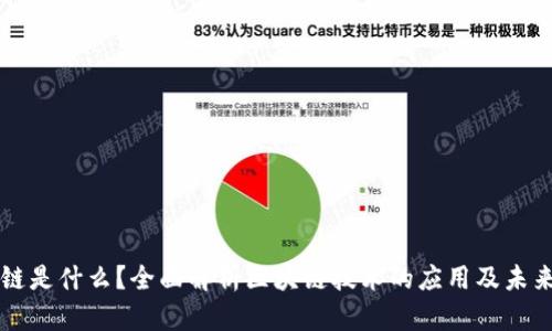 区块链是什么？全面解析区块链技术的应用及未来发展