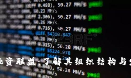 区块链融资联盟：了解其组织结构与发展影响