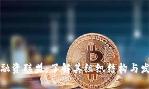 区块链融资联盟：了解其组织结构与发展影响