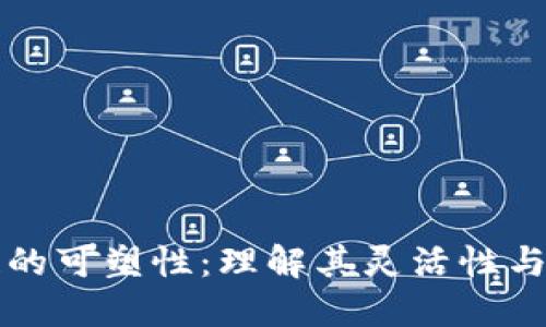 区块链的可塑性：理解其灵活性与适应性