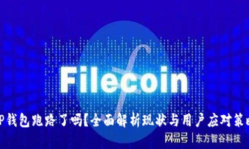 TP钱包跑路了吗？全面解析现状与用户应对策略