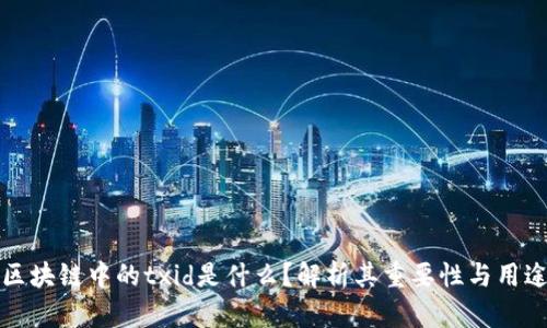 区块链中的txid是什么？解析其重要性与用途