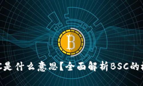 区块链BSC是什么意思？全面解析BSC的概念与应用