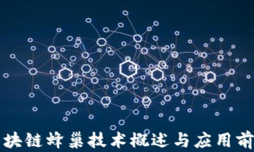 
区块链蜂巢技术概述与应用前景