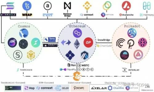 如何将交易所的数字货币转入TP钱包？详尽指南