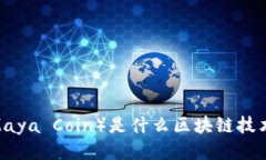 迈阿币（Maya Coin）是什么
