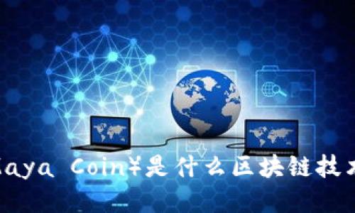 迈阿币（Maya Coin）是什么区块链技术的代表？