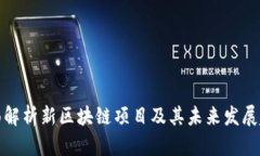 全面解析新区块链项目及