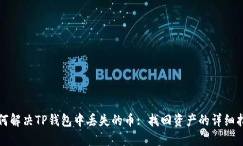 如何解决TP钱包中丢失的币: 找回资产的详细指南