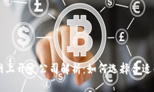 区块链网上开发公司解析：如何选择合适的服务商