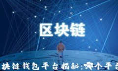全球最大的区块链钱包平