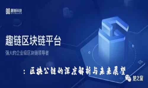 : 区块公链的深度解析与未来展望