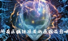 屏蔽所有区块链项目的原