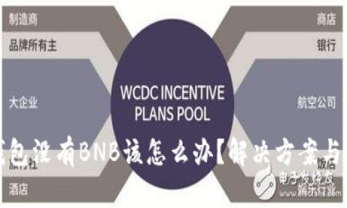 TP钱包没有BNB该怎么办？解决方案与技巧