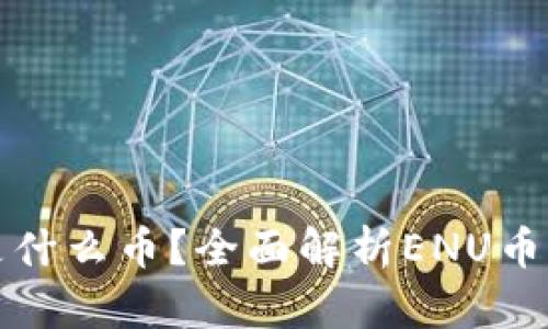 区块链ENU是什么币？全面解析ENU币的特性与应用