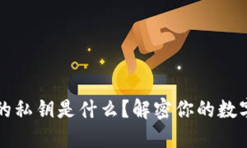 区块链上的私钥是什么？解密你的数字资产安全