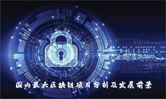 国内最大区块链项目分析