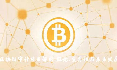 区块链审计项目解析：概念、重要性与未来发展