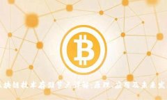 区块链技术存储节点详解