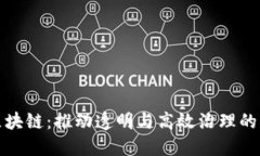 政府区块链：推动透明与