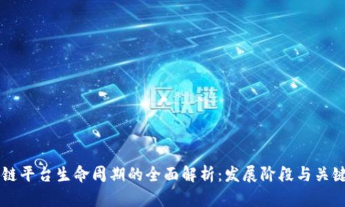 区块链平台生命周期的全面解析：发展阶段与关键要素