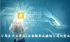 区块链公司是什么单位？