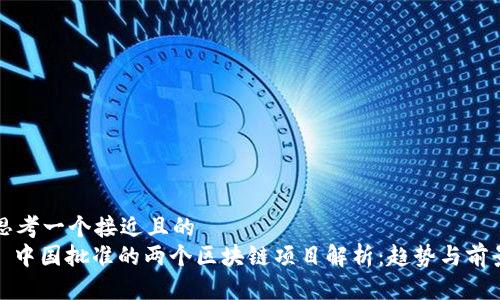 思考一个接近且的  
: 中国批准的两个区块链项目解析：趋势与前景