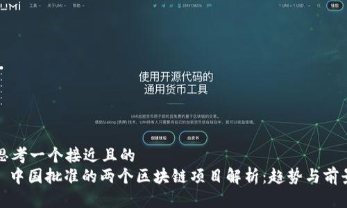 思考一个接近且的  
: 中国批准的两个区块链项目解析：趋势与前景