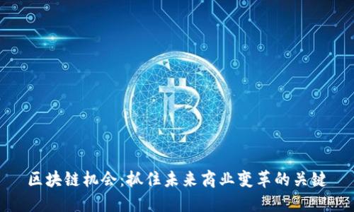 区块链机会：抓住未来商业变革的关键