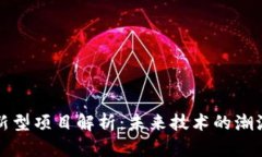 区块链新型项目解析：未