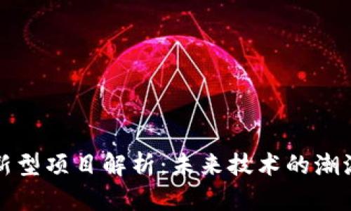 区块链新型项目解析：未来技术的潮流与趋势