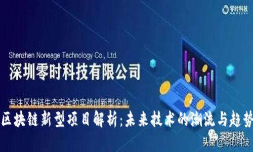 区块链新型项目解析：未来技术的潮流与趋势