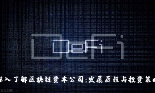 深入了解区块链资本公司：发展历程与投资策略