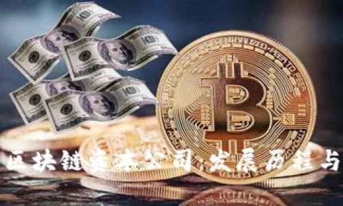 深入了解区块链资本公司：发展历程与投资策略