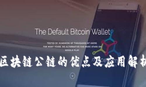 区块链公链的优点及应用解析
