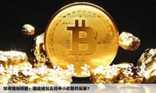 探索区块链技术的最高风险及其应对策略