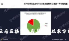 云南区块链公司与发展现
