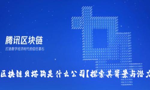 区块链贝塔狗是什么公司？探索其背景与潜力