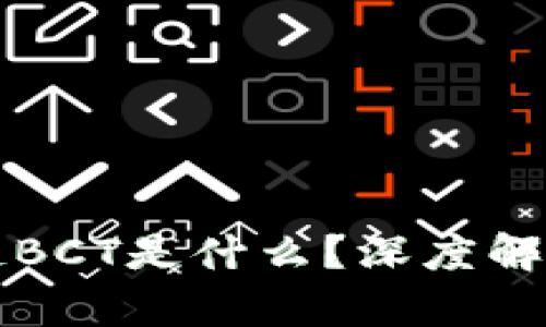 ### 区块链BCT是什么？深度解析与应用前景