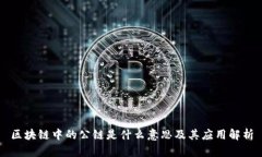 区块链中的公链是什么意