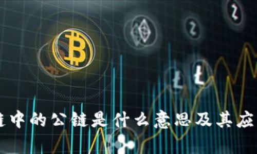 区块链中的公链是什么意思及其应用解析