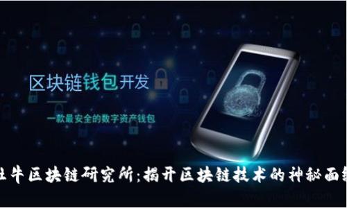 牡牛区块链研究所：揭开区块链技术的神秘面纱