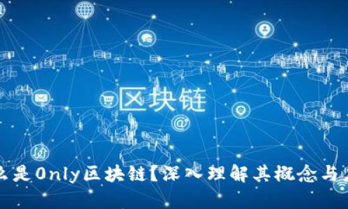 什么是0nly区块链？深入理解其概念与应用