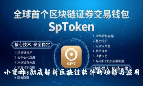 小蜜蜂：彻底解析区块链软件的功能与应用