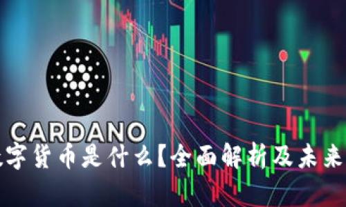 区块链数字货币是什么？全面解析及未来发展趋势