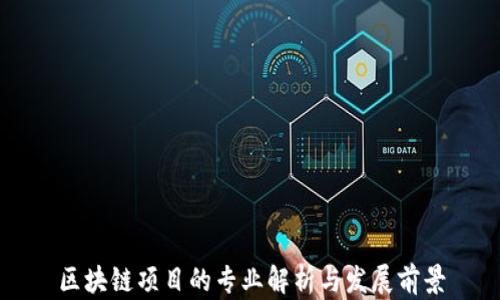 
区块链项目的专业解析与发展前景