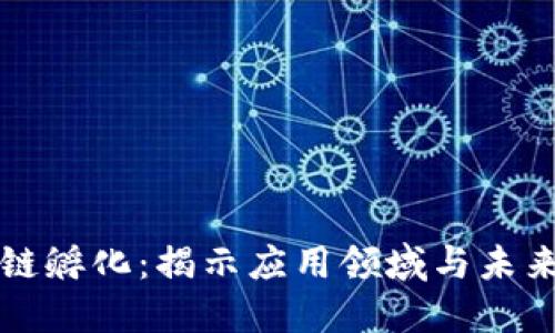 区块链孵化：揭示应用领域与未来趋势