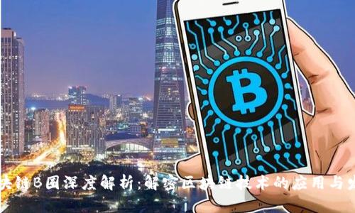 区块链B圈深度解析：解密区块链技术的应用与发展