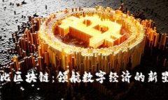 布比区块链：领航数字经济的新星火